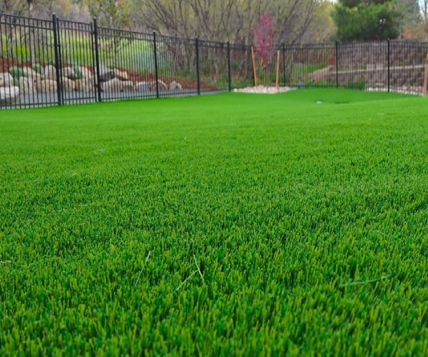 Artificial Grass